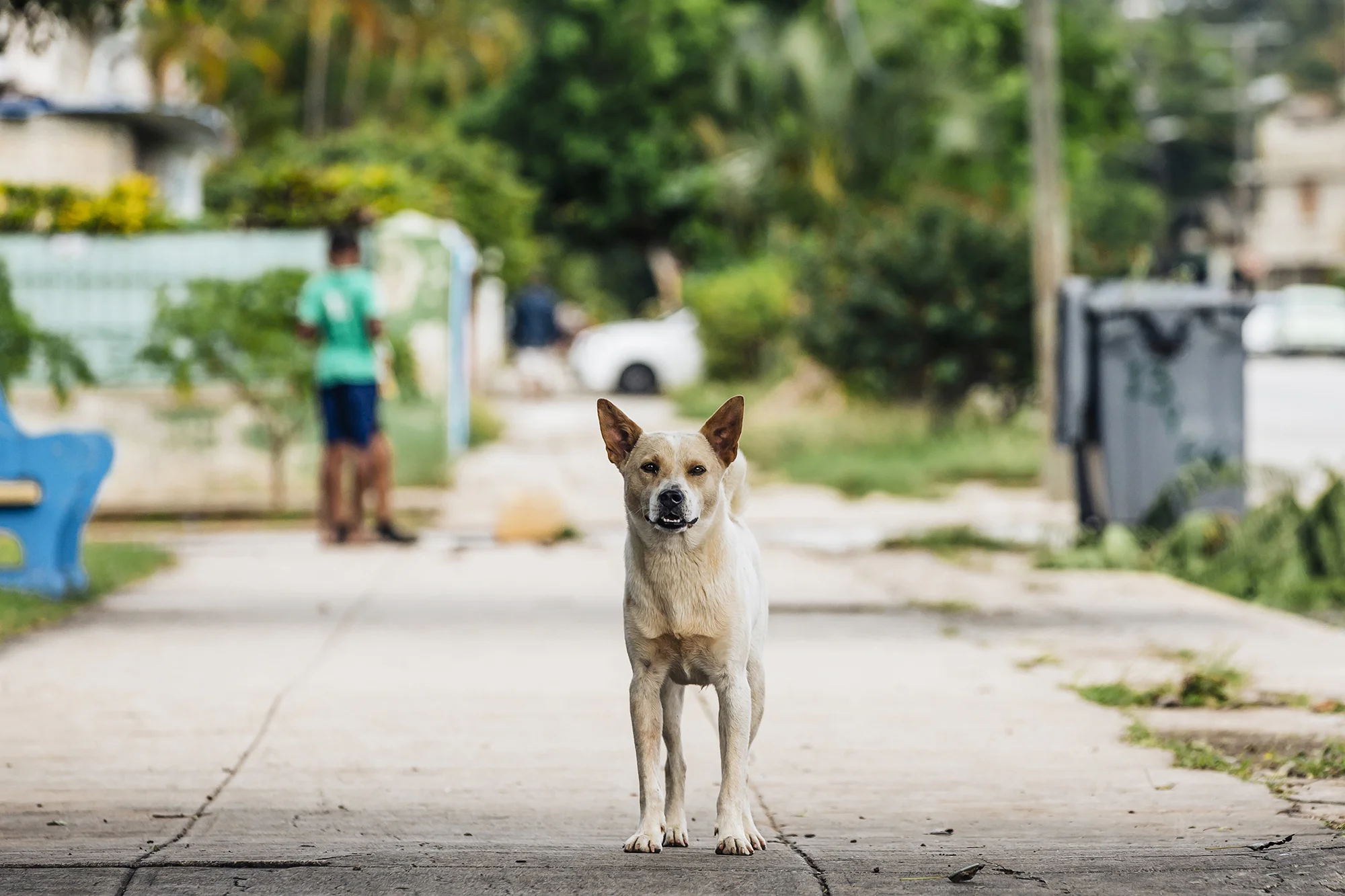  Cerro, La Habana © Emmy Park 