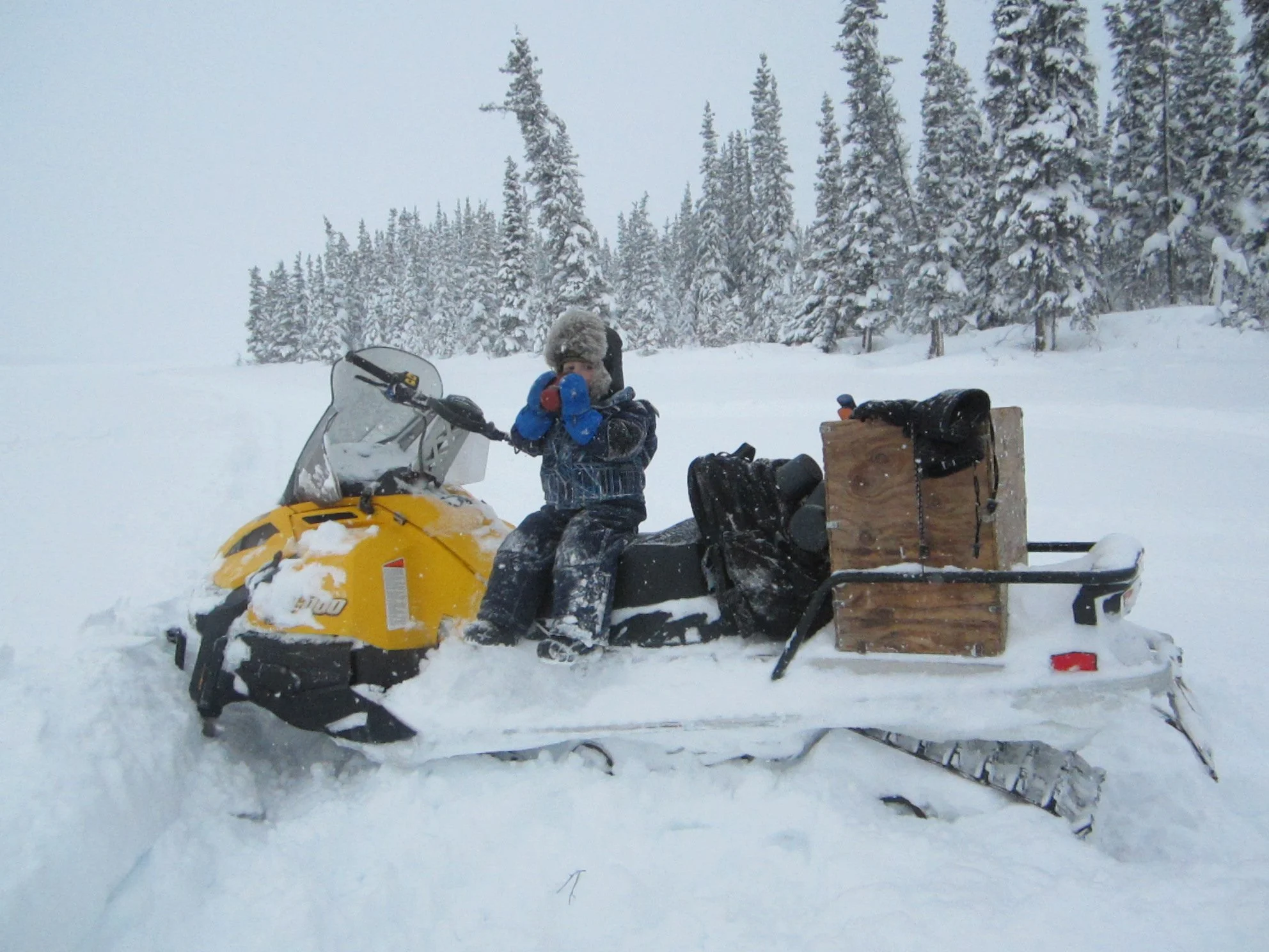 Center for Biological Diversity is doing it again...