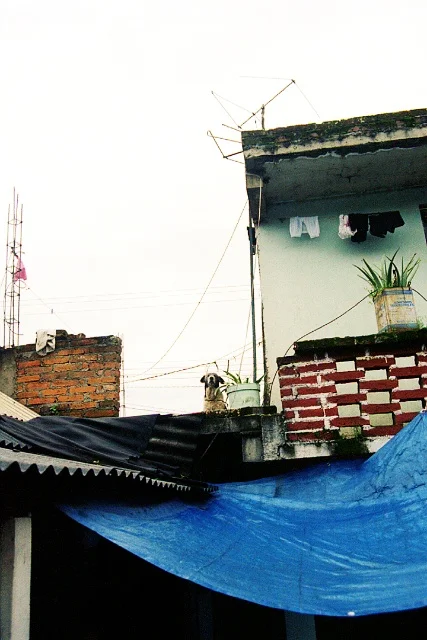 SethCothrun_Michoacan2003_small_ 4.jpg