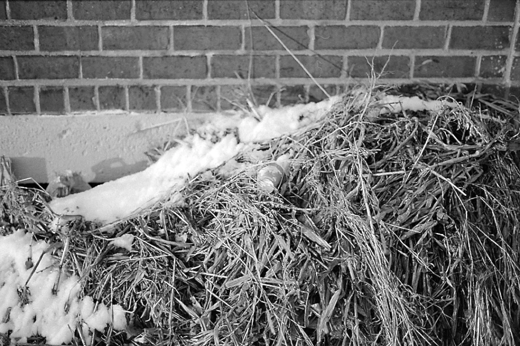 SethCothrun_ChicagoStreets 038.jpg