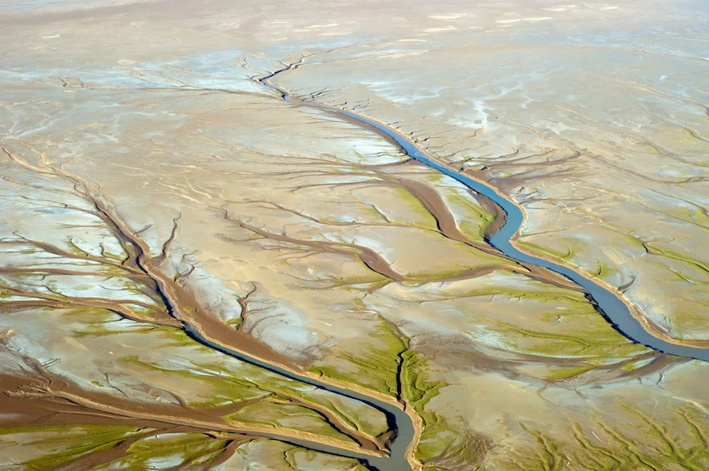 SethCothrun_ColoradoRiverDelta 6.jpg