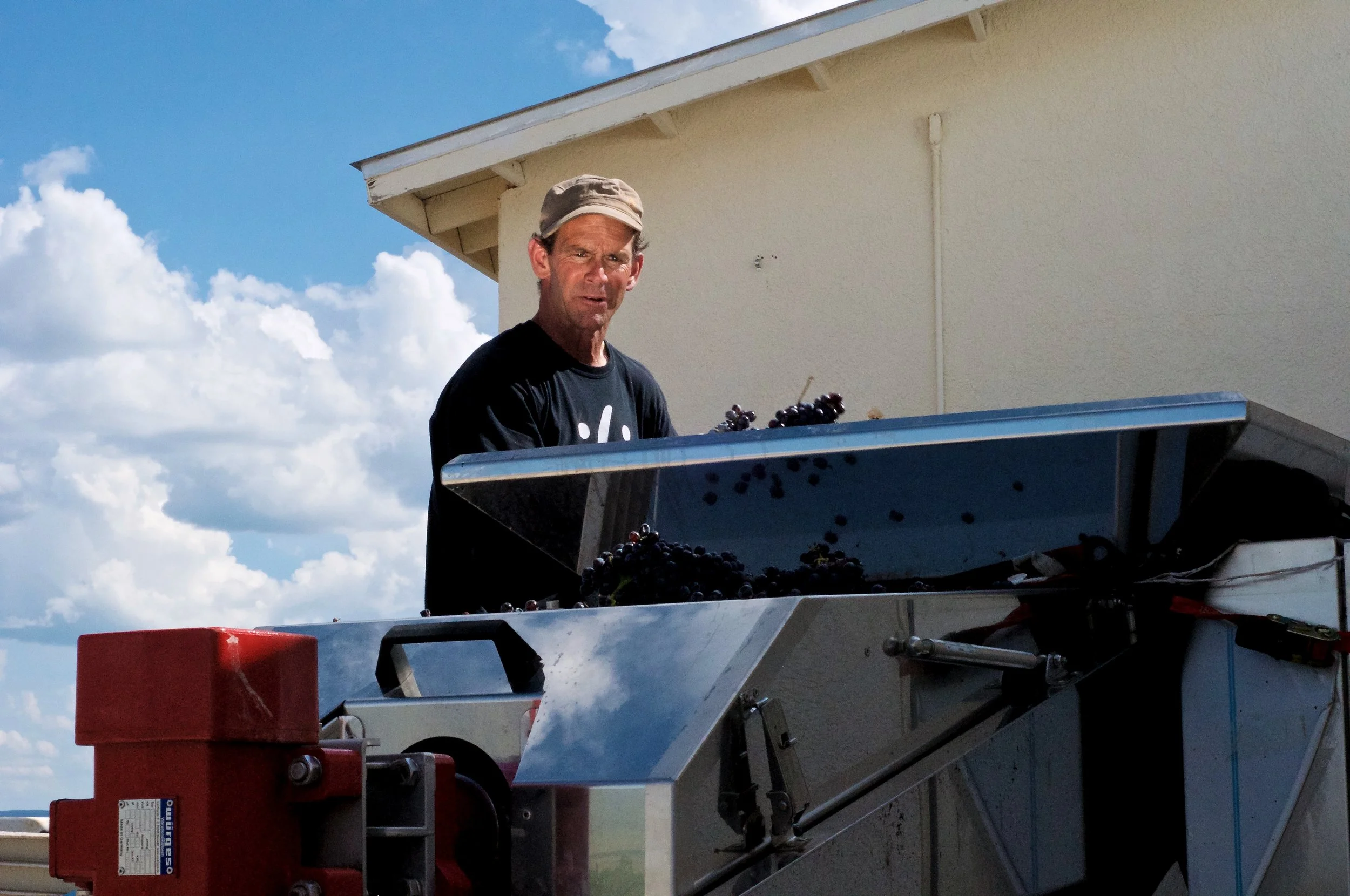 SethCothrun_EdibleBaja_Callaghan_processing_v2_ 4.jpg