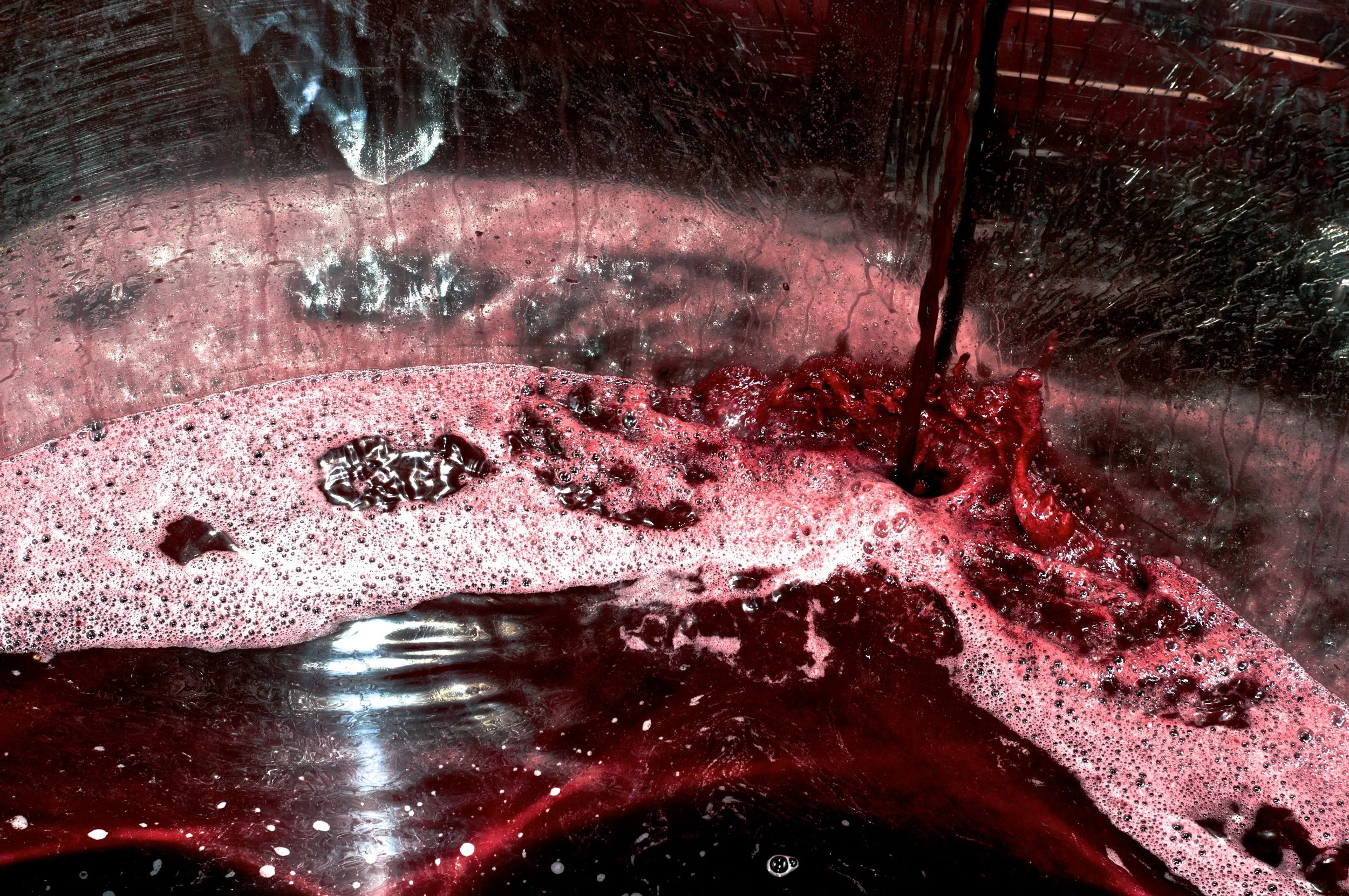 SethCothrun_EdibleBaja_Callaghan_pressing_v2_ 1.jpg