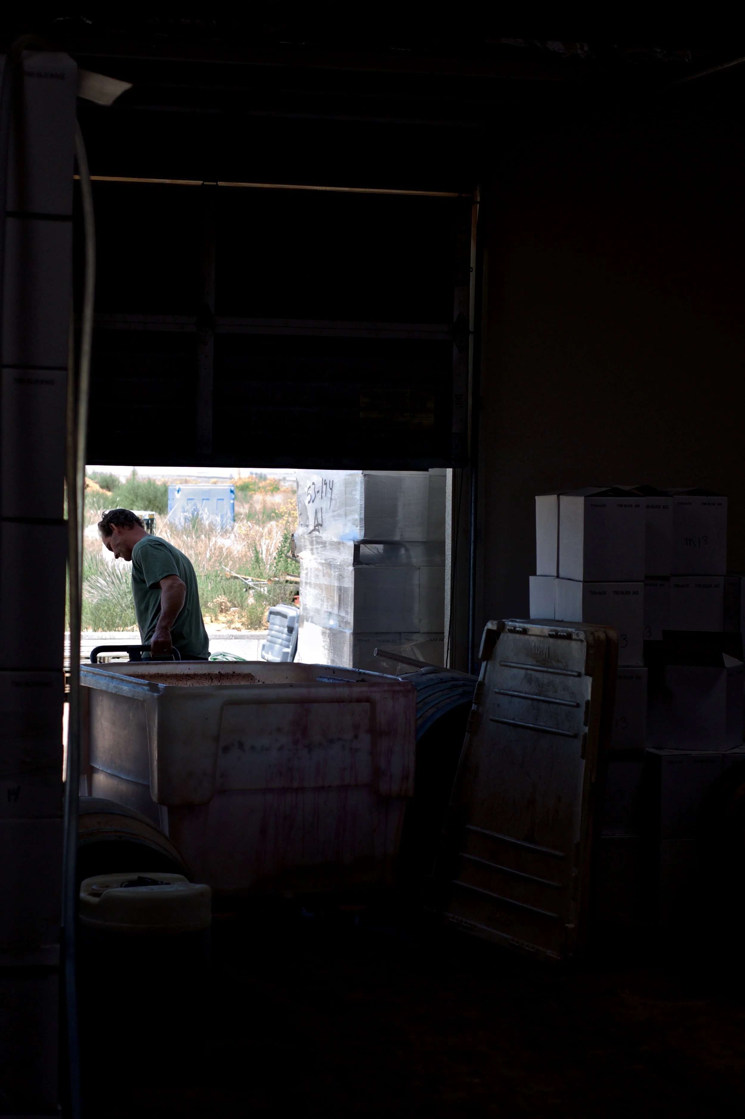 SethCothrun_EdibleBaja_Callaghan_pressing_v2_ 6.jpg