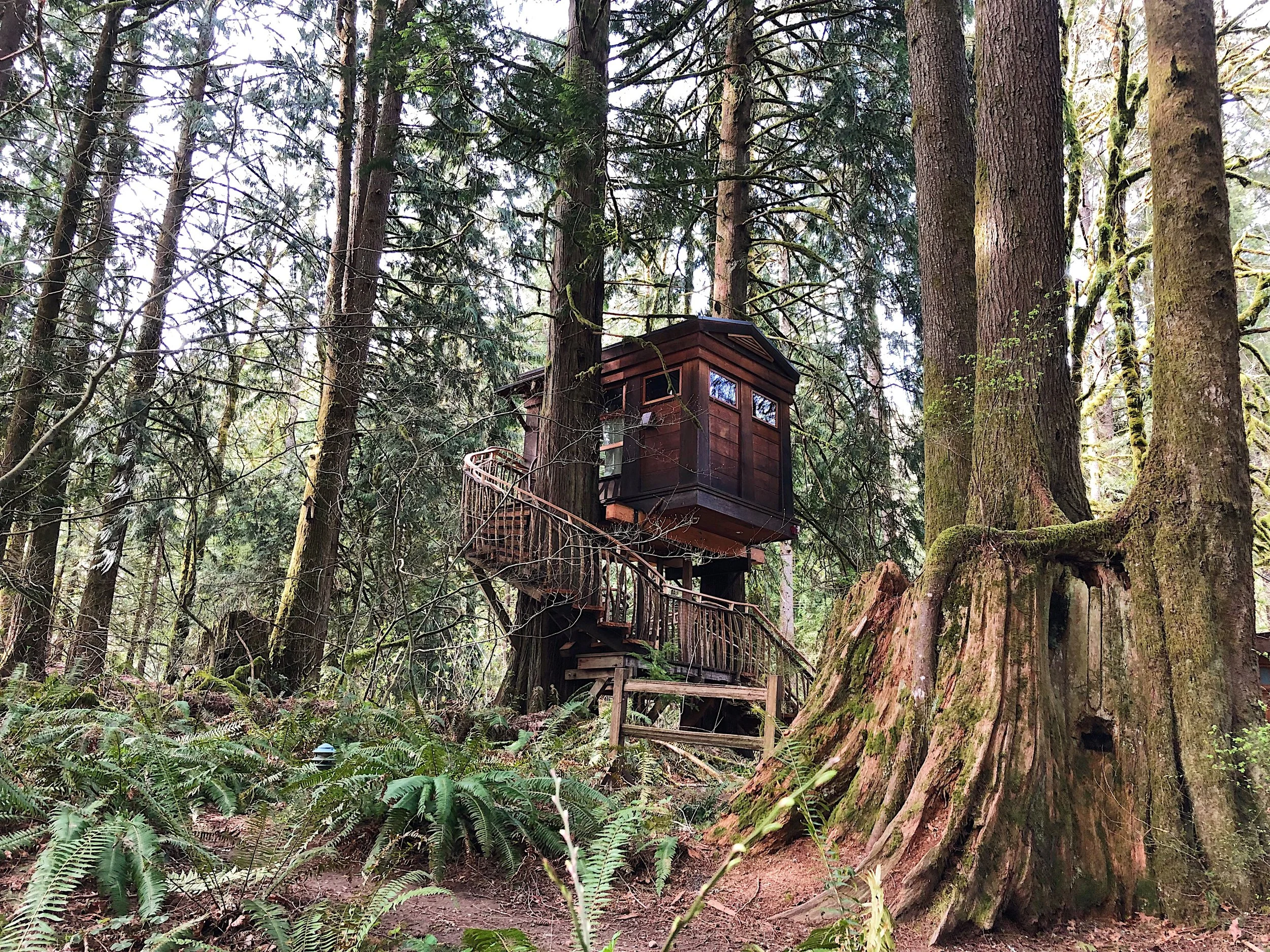 A Weekend in the Trees