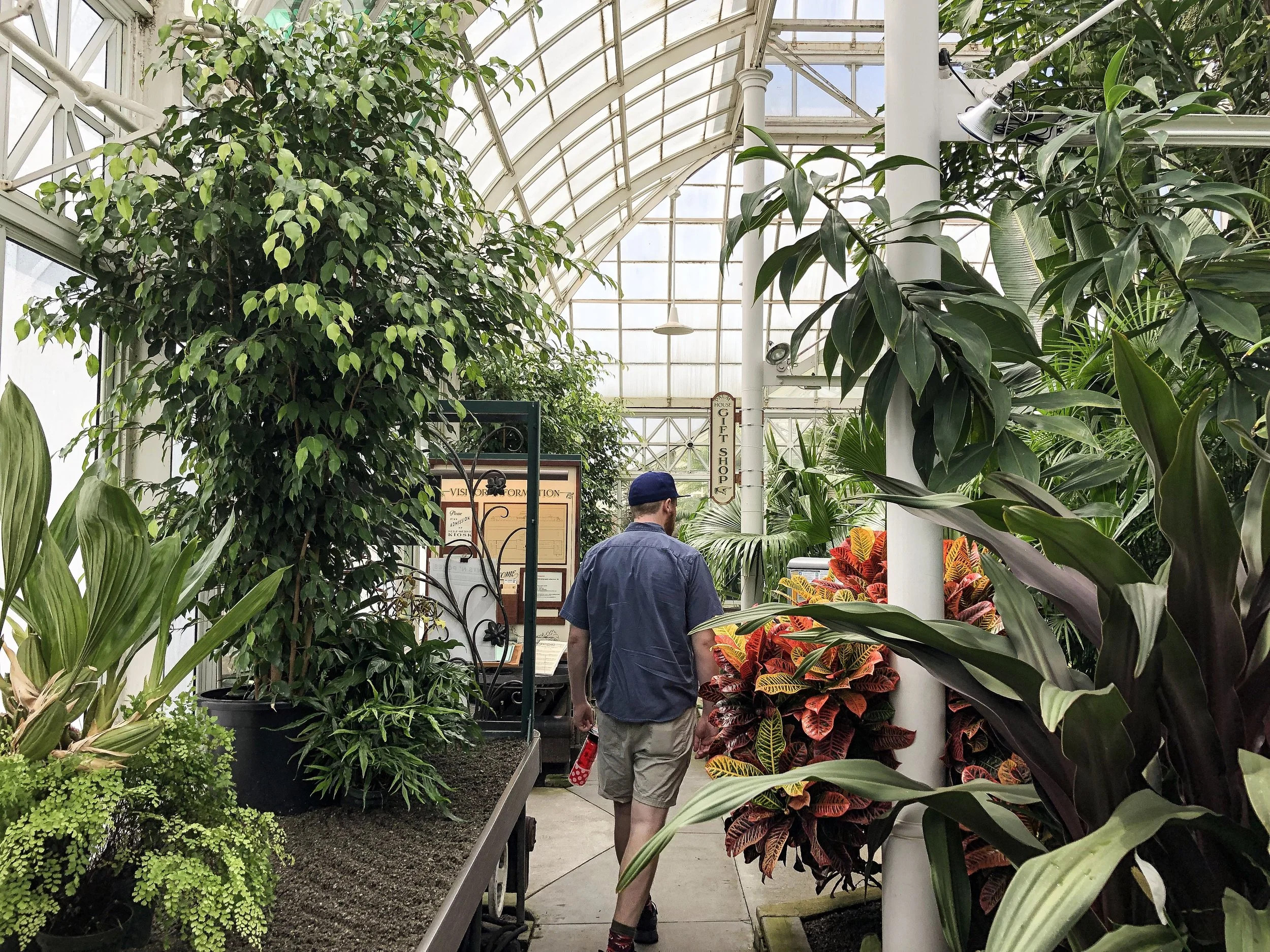 Seattle Sights: Volunteer Park Conservatory