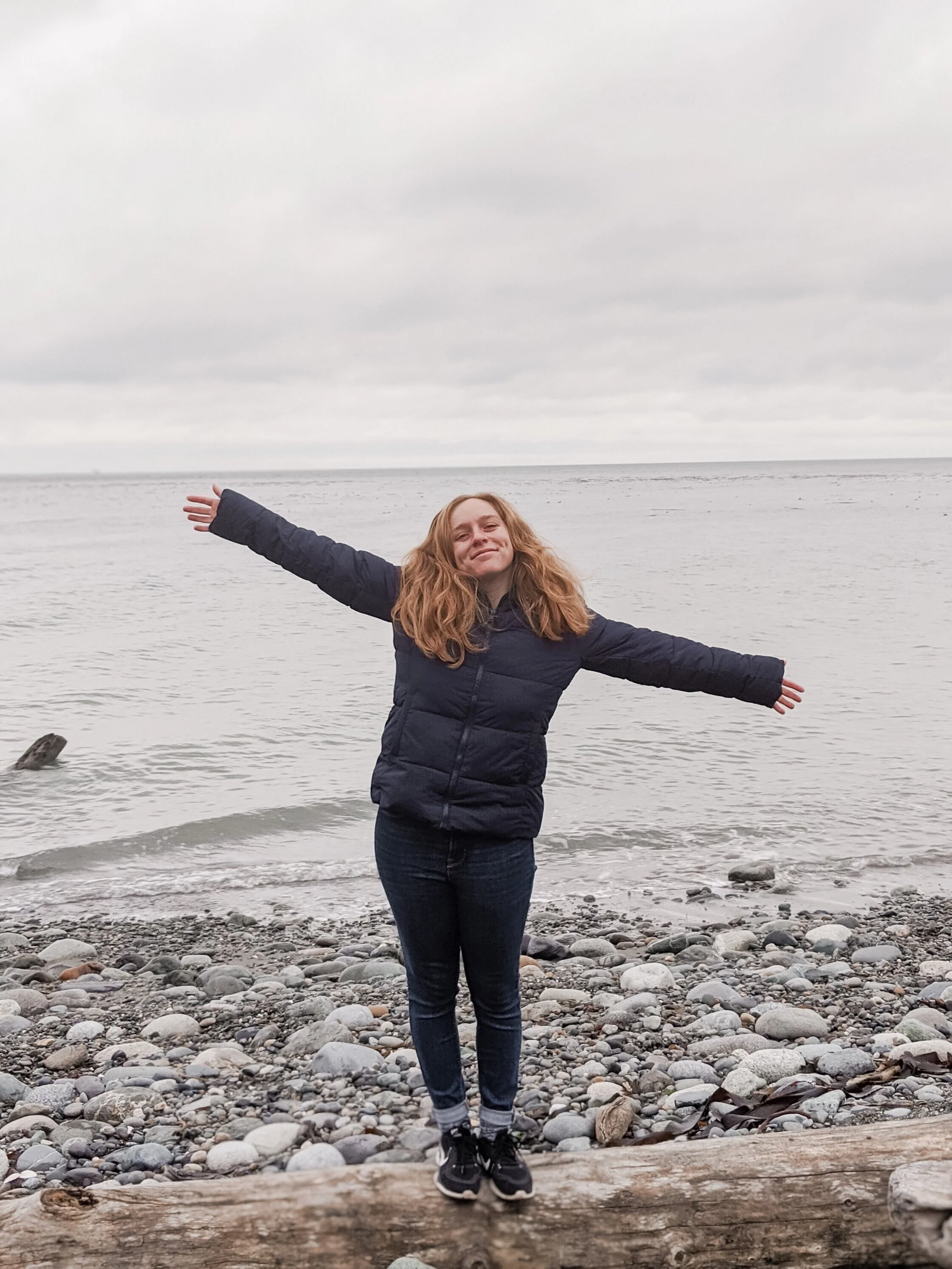 New Year's Resolution 2020