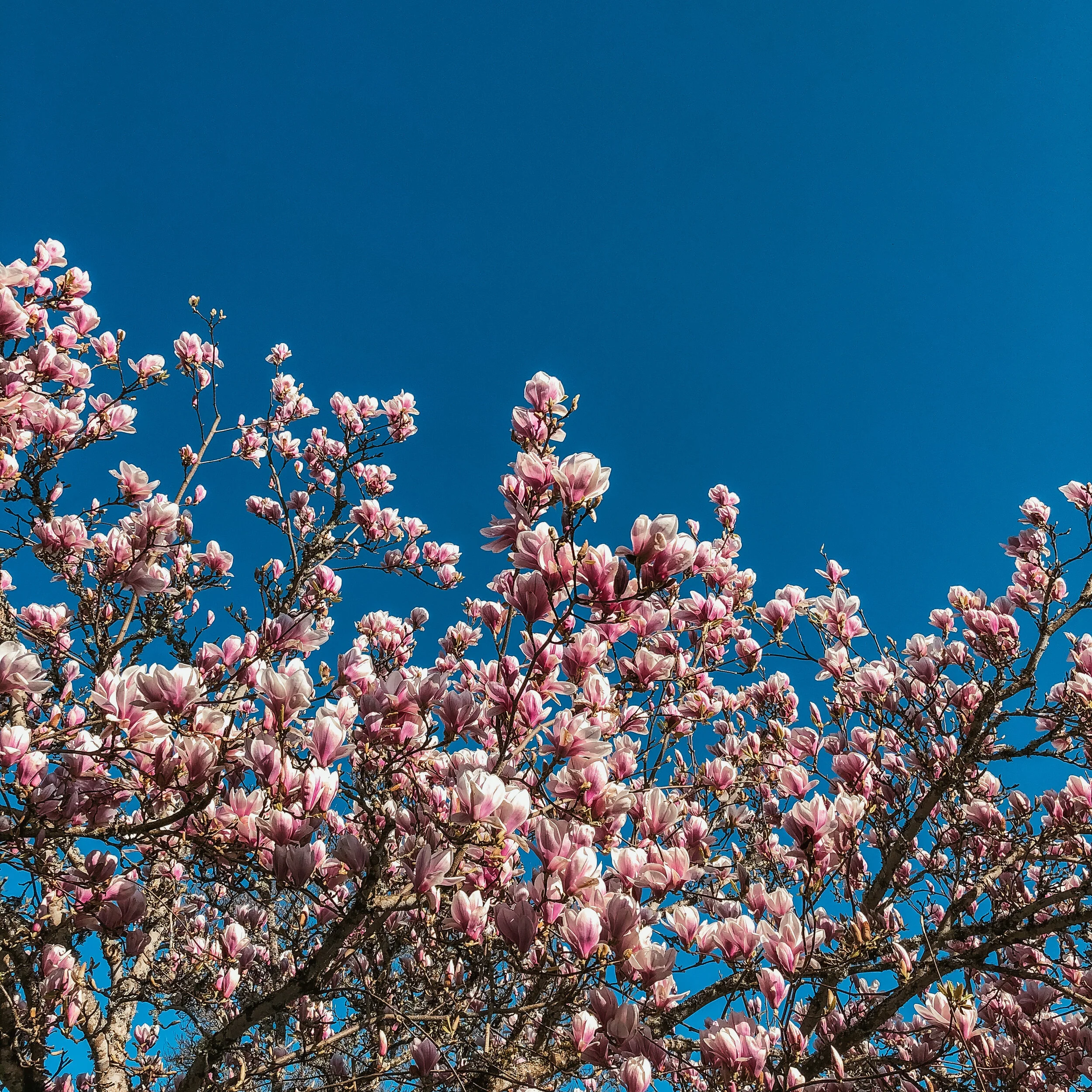 Mental Health Awareness Month // My Experience with Therapy