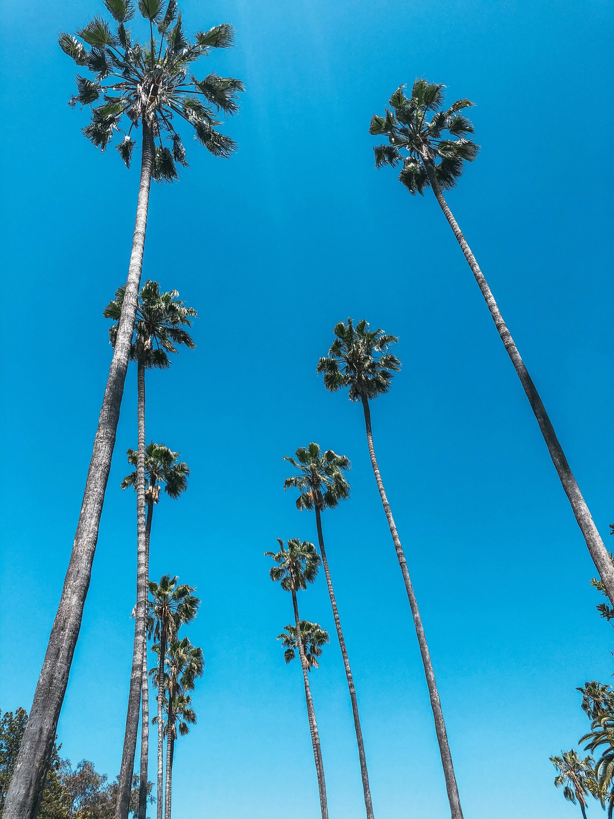 YEAR OF HAPPINESS // May Resolution