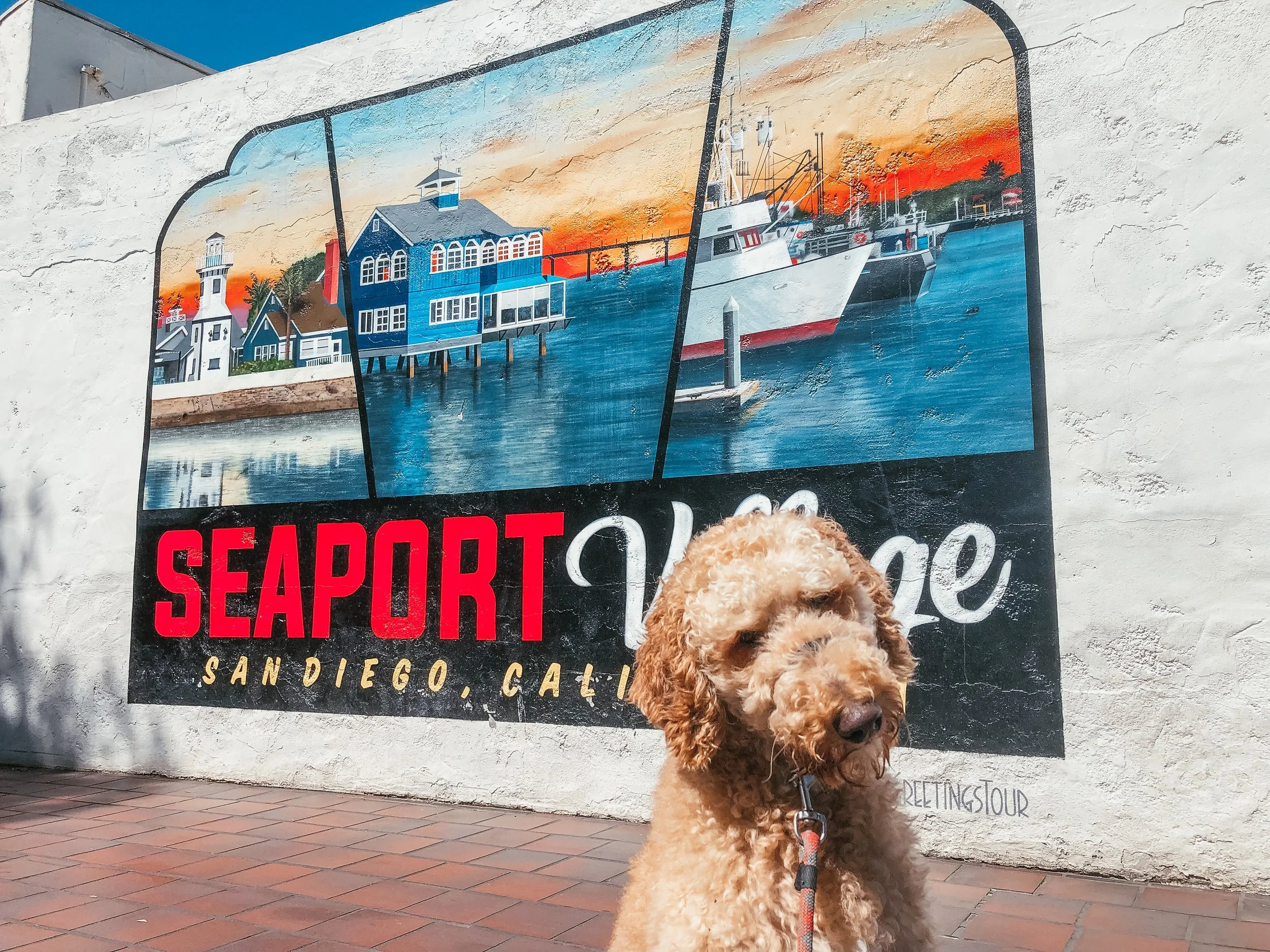 Dog-Friendly San Diego Spots
