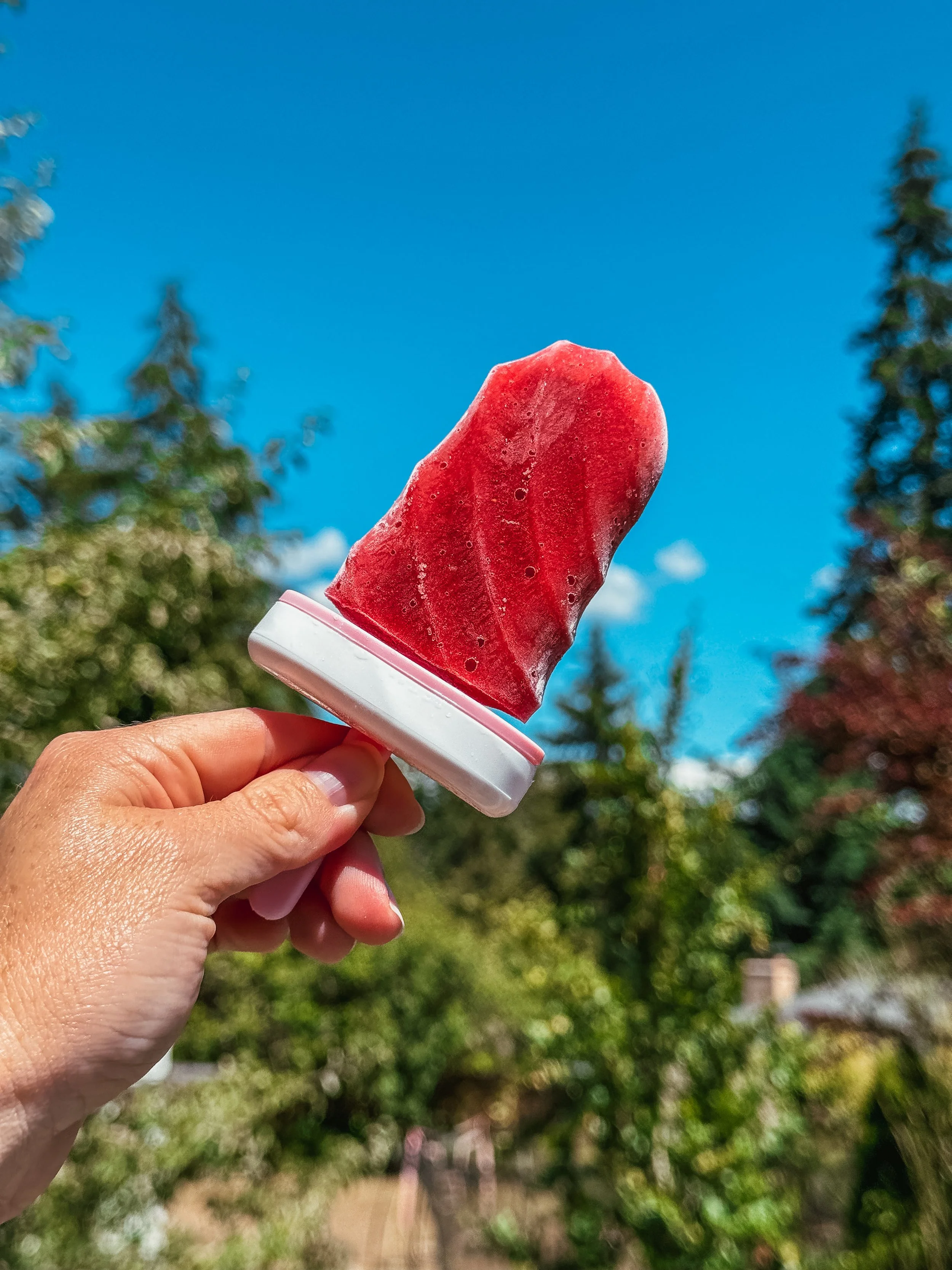 Easy Strawberry Popsicles