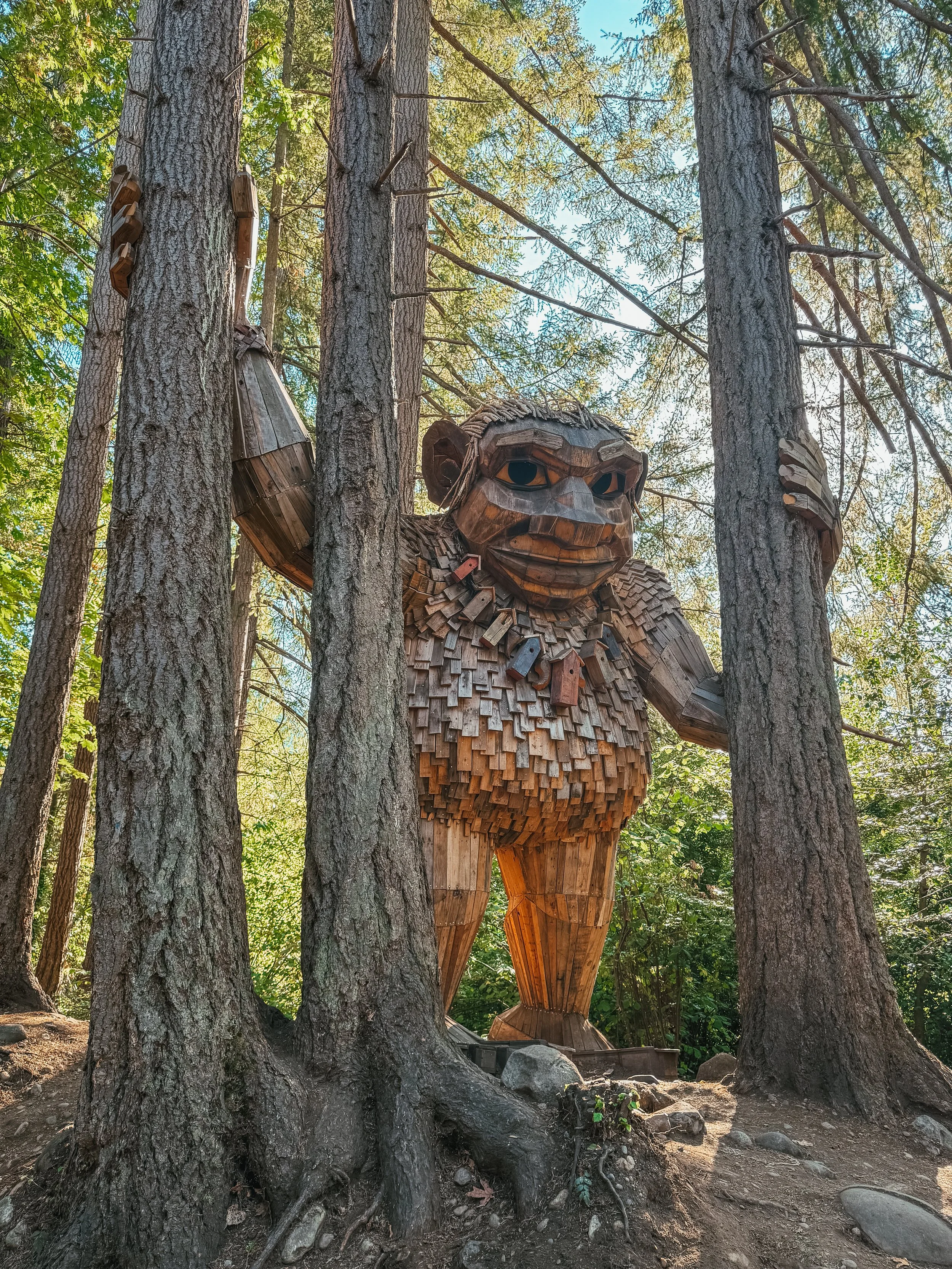 A Weekend with the Washington Trolls 