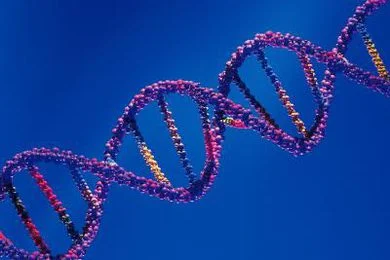 lcl_dna.jpg
