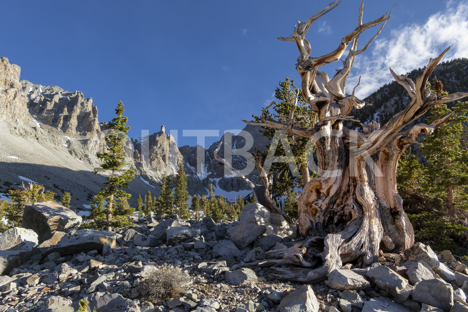 #1 _MG_0023-Edit-Edit.jpg