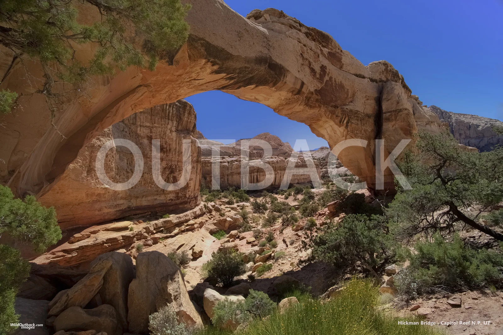 #5 _MG_0011-Edit=E.jpg