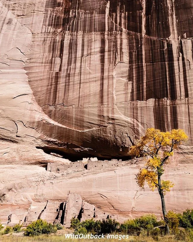 Ancient Puebloan ruins in Canyon De Chelly National Monument, AZ.  See more at my Gallery at WildOutback.com. 
#NationalPark  #nationalparks 
#landscapecapture #Wanderlust #LifeElevated #wowutah #explorenation #sceniclocations #travelawesome #wildern