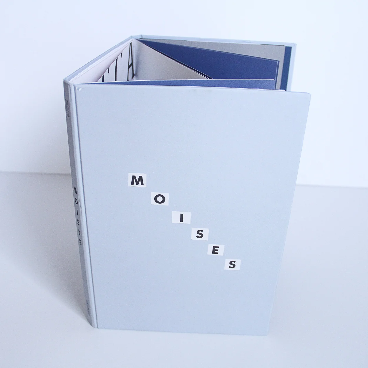 moises-2.jpg