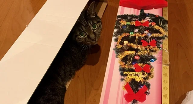 クリスマスの準備完了