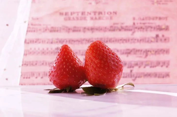 ゴミ出ししてくれた。