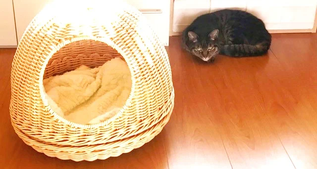 警戒しています。