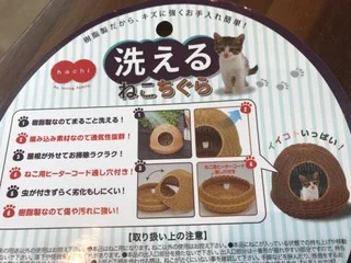 本物.jpg
