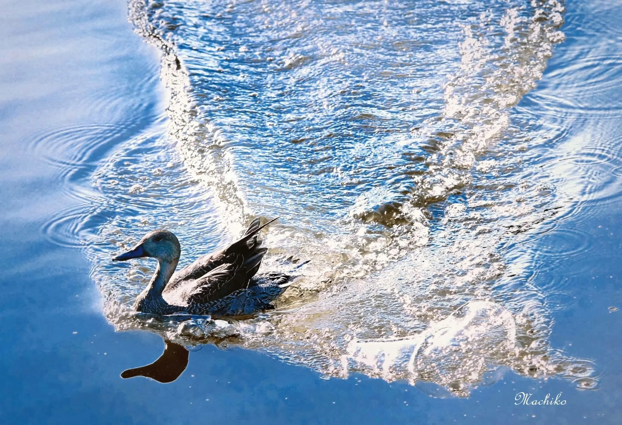 新参者の心得。