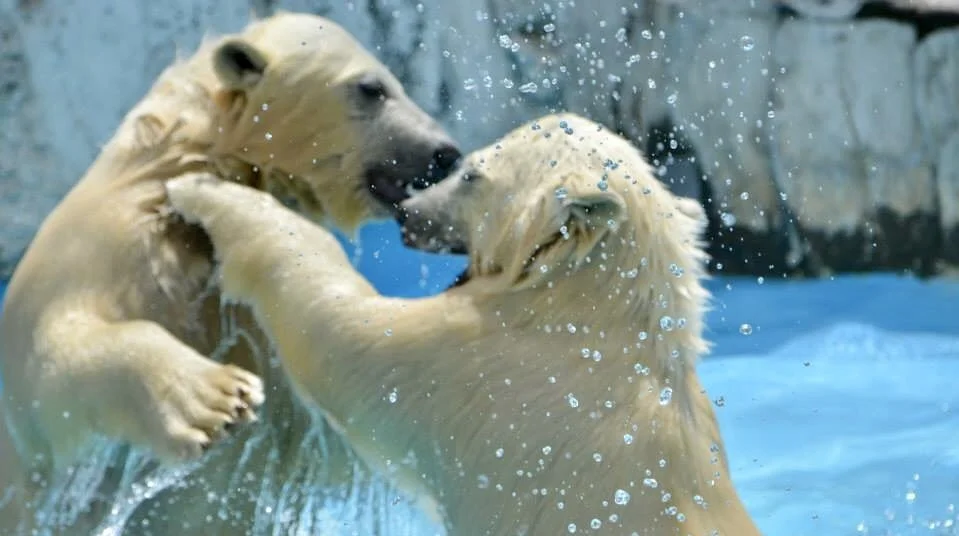 八方美人を克服！