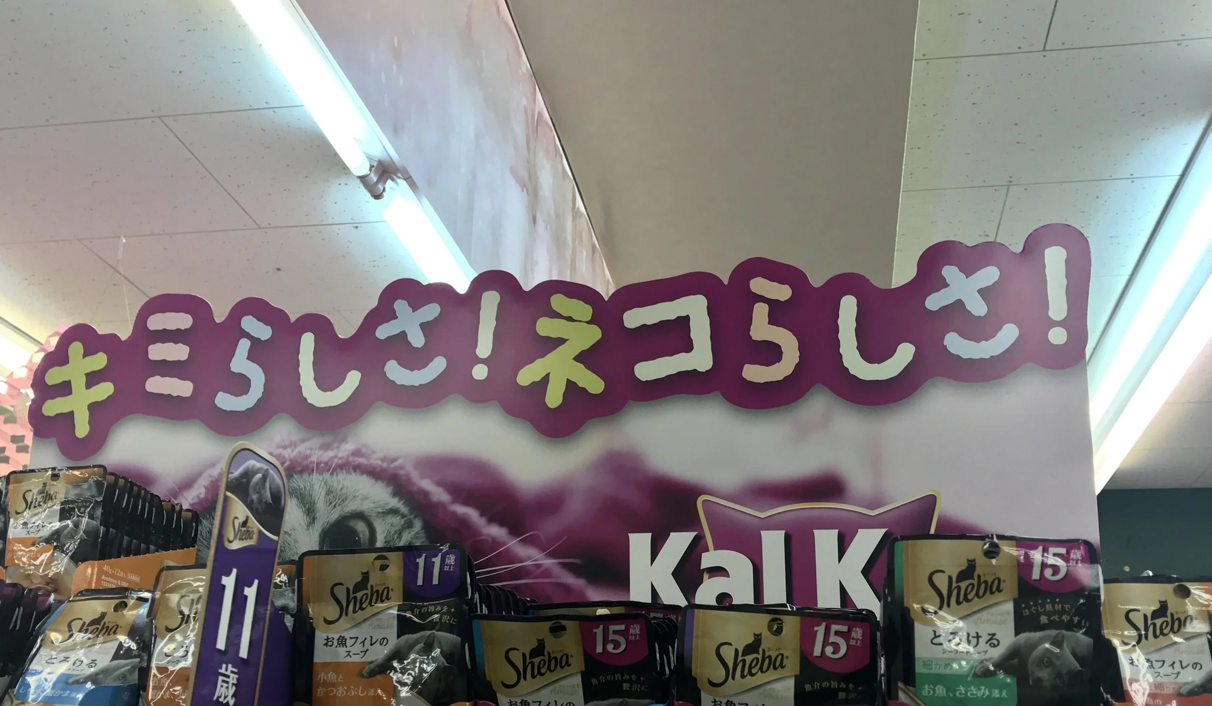 流行？「意識高い系」