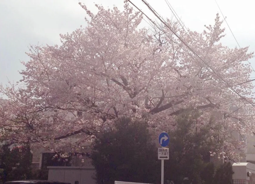 今のあなたが、一番、素敵。