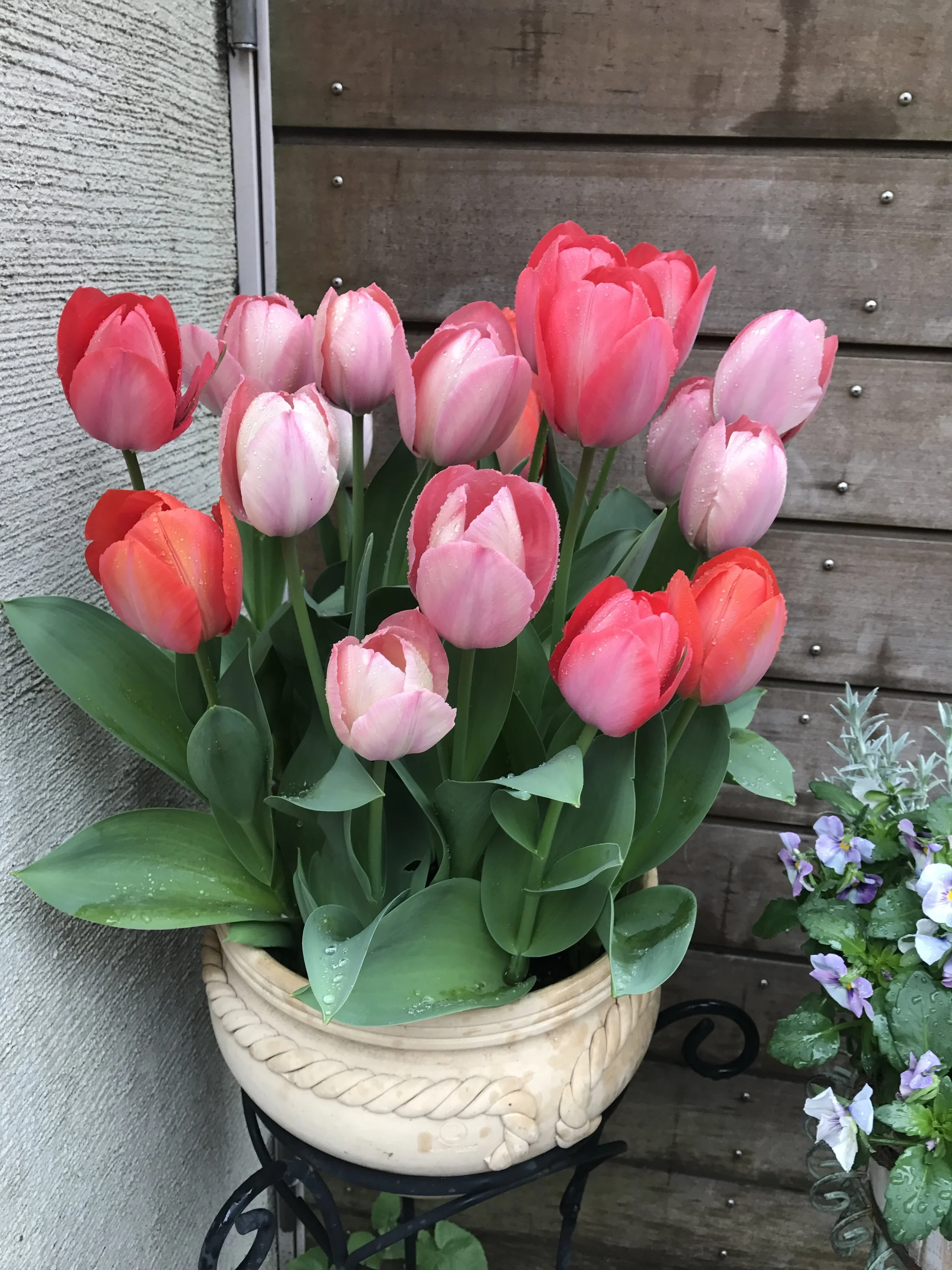 誰でもできる！「最強の笑顔」の作り方。