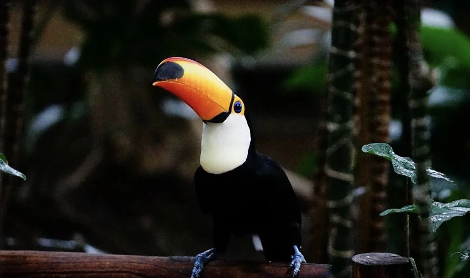 あるあるです。「話し上手」な、「コミュニケーション下手」。