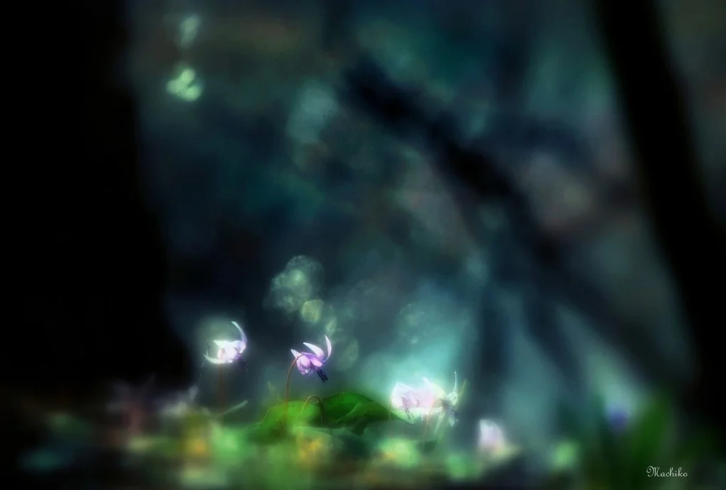 あなたの心は、言葉よりも、魅力的。