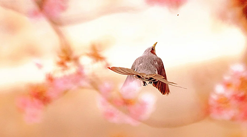 写真で気持ちを伝えるフォトグラファー