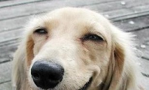 「相づち」がないと、喋りにくいあなたへ。