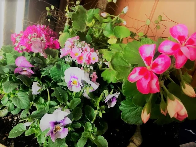 照れ屋さんなあなたへ。「誉め言葉」を受け取る「極意」