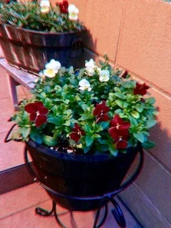 なぜ、あの美容師さんは、稼げなかったのか?