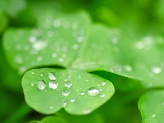 4ステップで言える!相手の立場に立った「話し方」