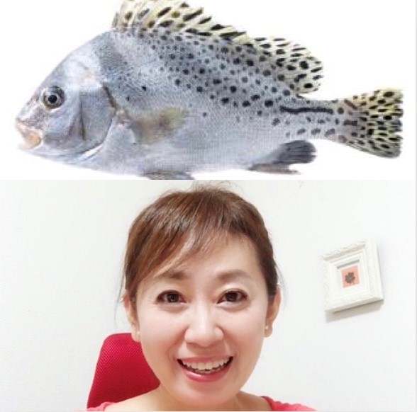 こしょうだい.jpg