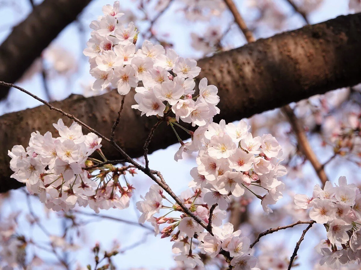 守るべき存在があなたを救う