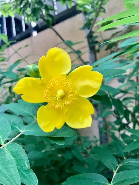 まったく新しい!早口滑舌を改善する方法