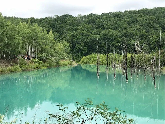 9月のポエムです。