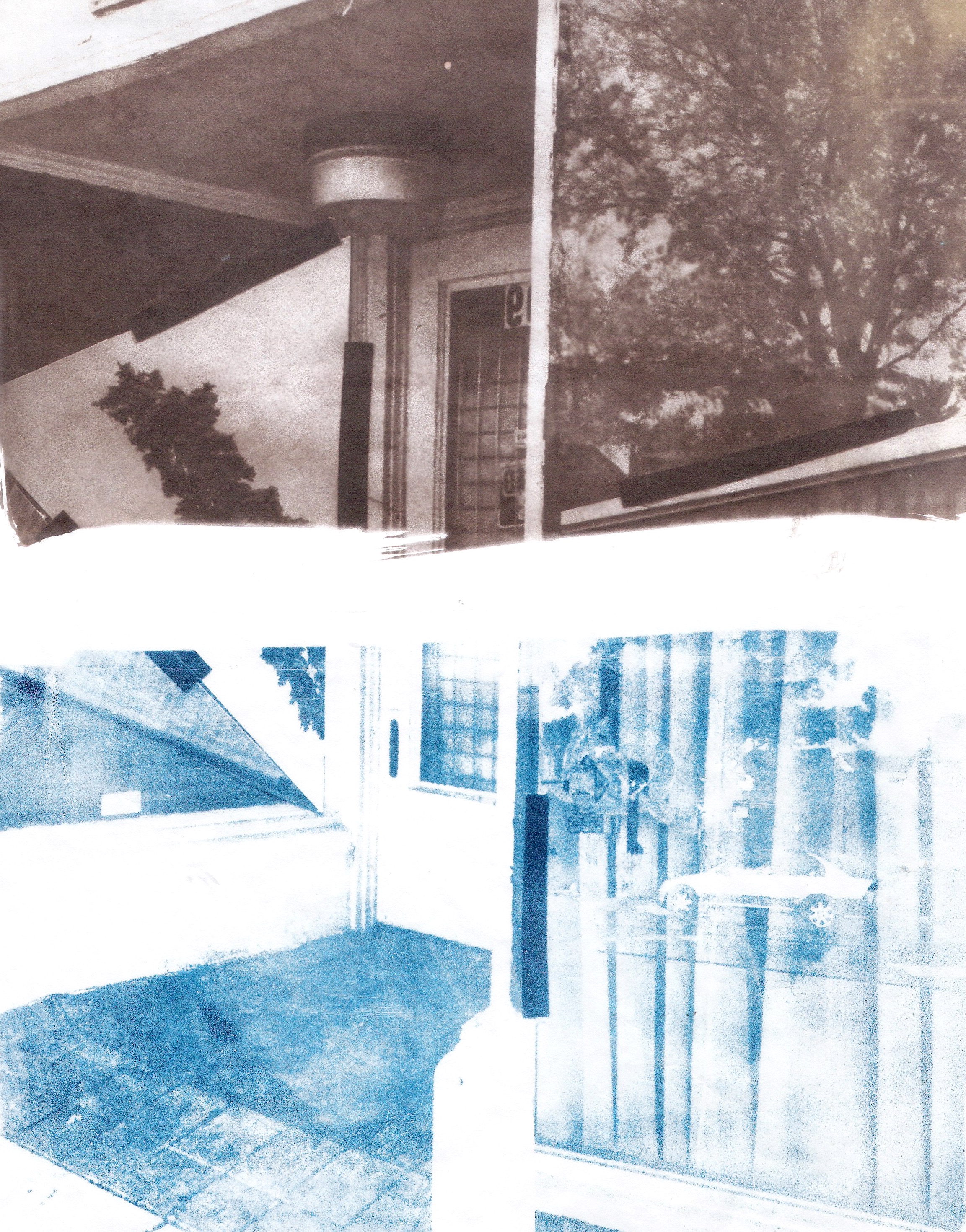 vandyke and cyanotype .jpeg