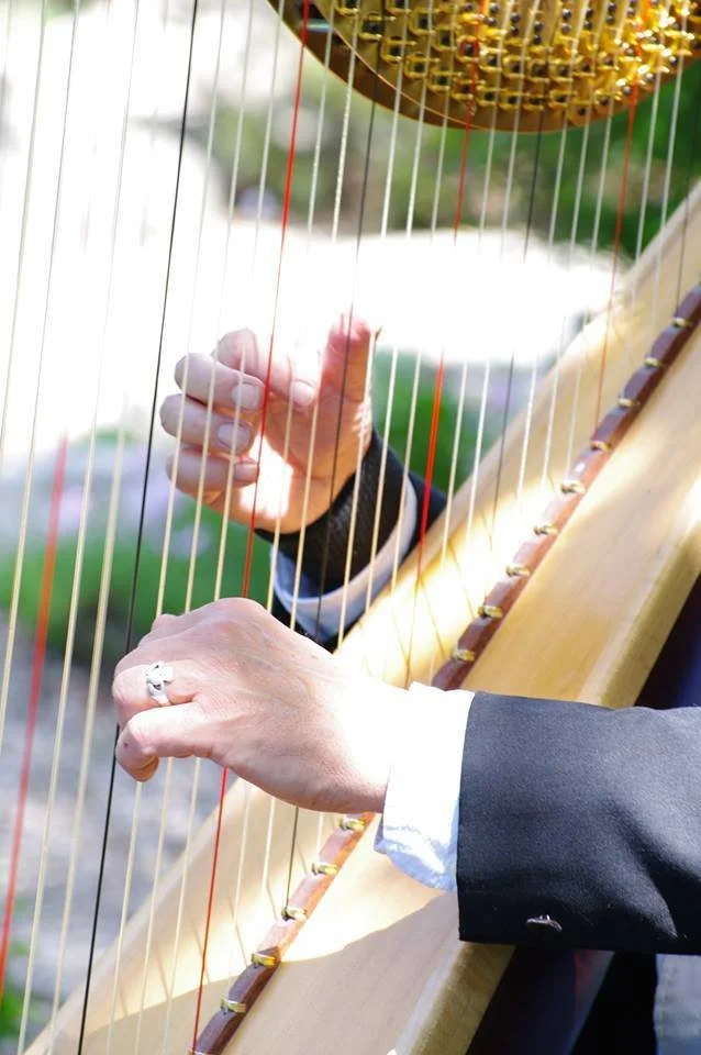 Terry McDade_Press Shot (2).jpg