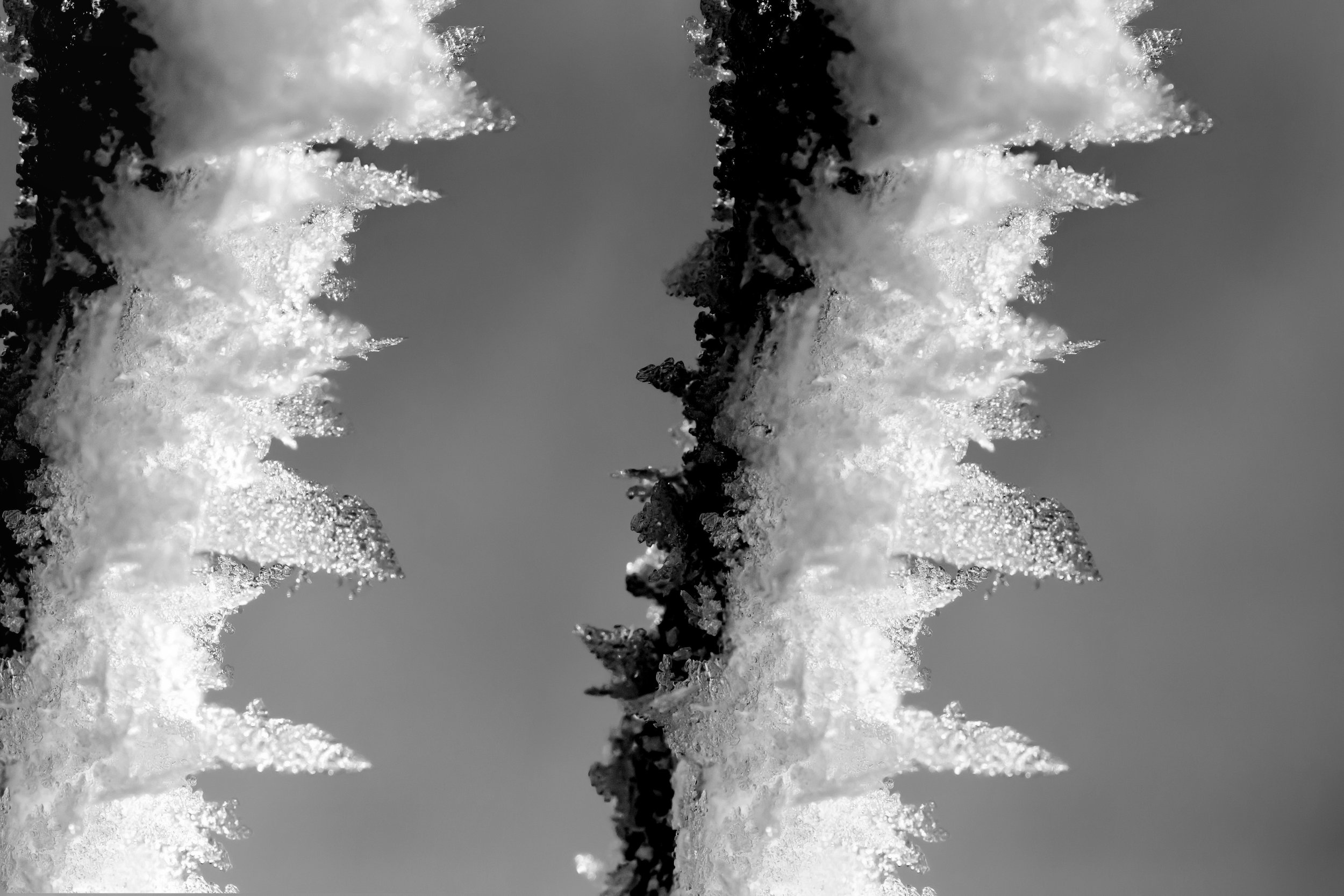 Visual Arts — Deep Freeze: A Byzantine Winter Festival