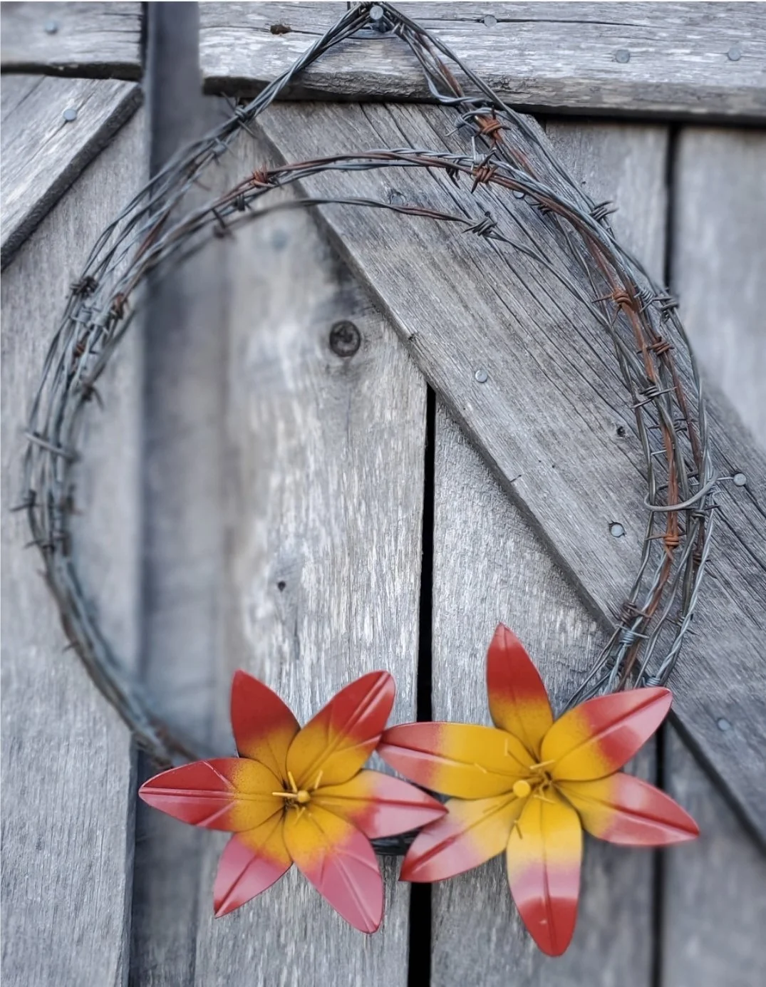 Little Beau Seed Co.