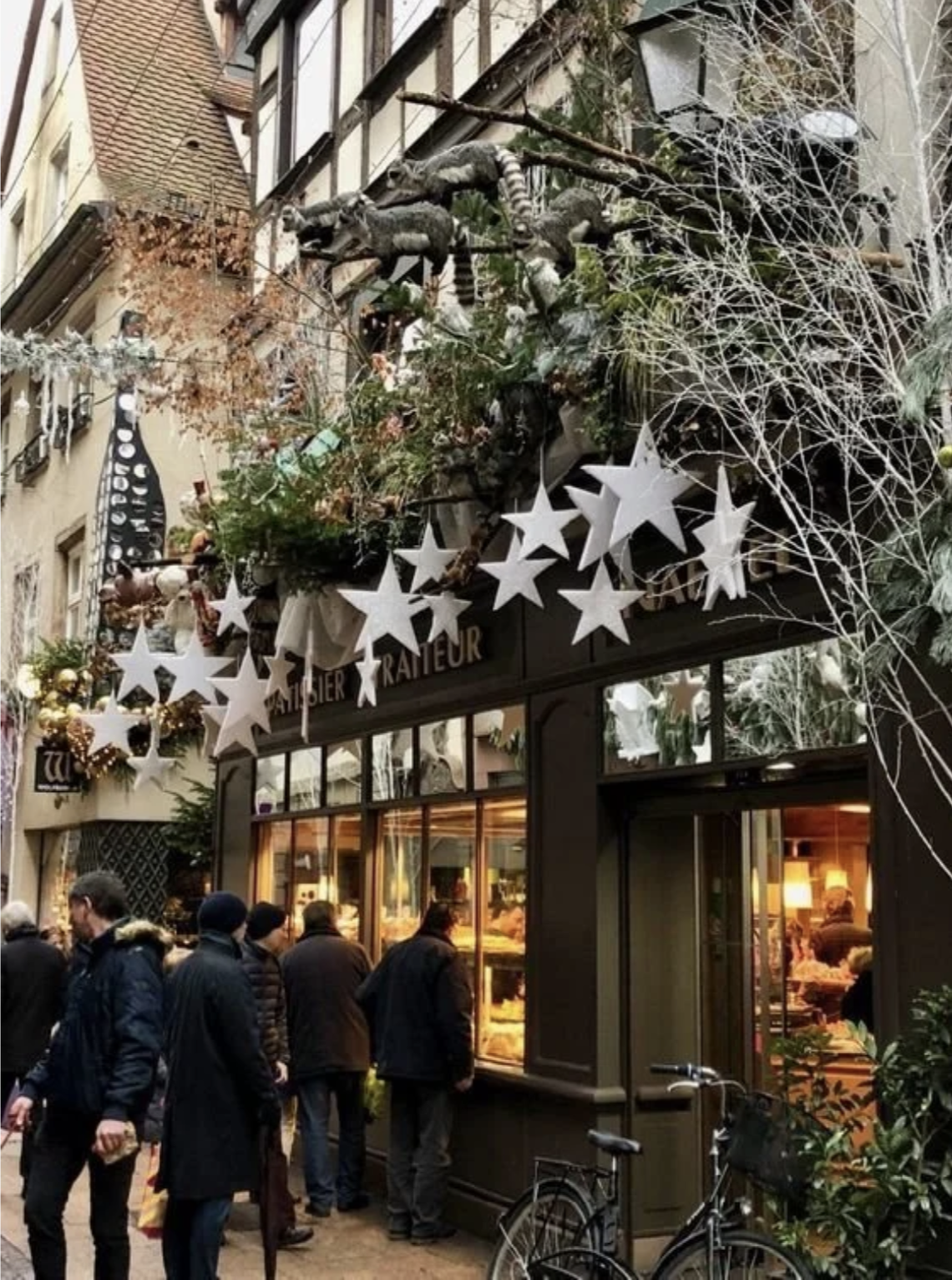 Screen Shot 2026-01-04 at 11.03.20 PM.png