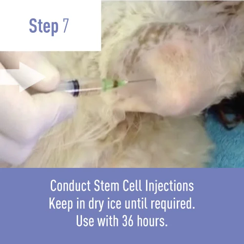 Step-7.jpg