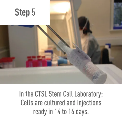 Step-5-.jpg