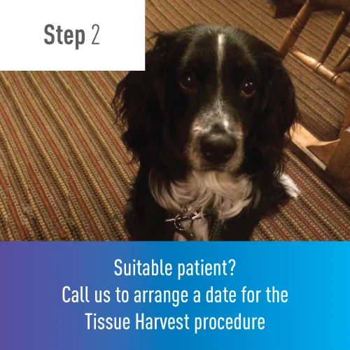 Step2.jpg