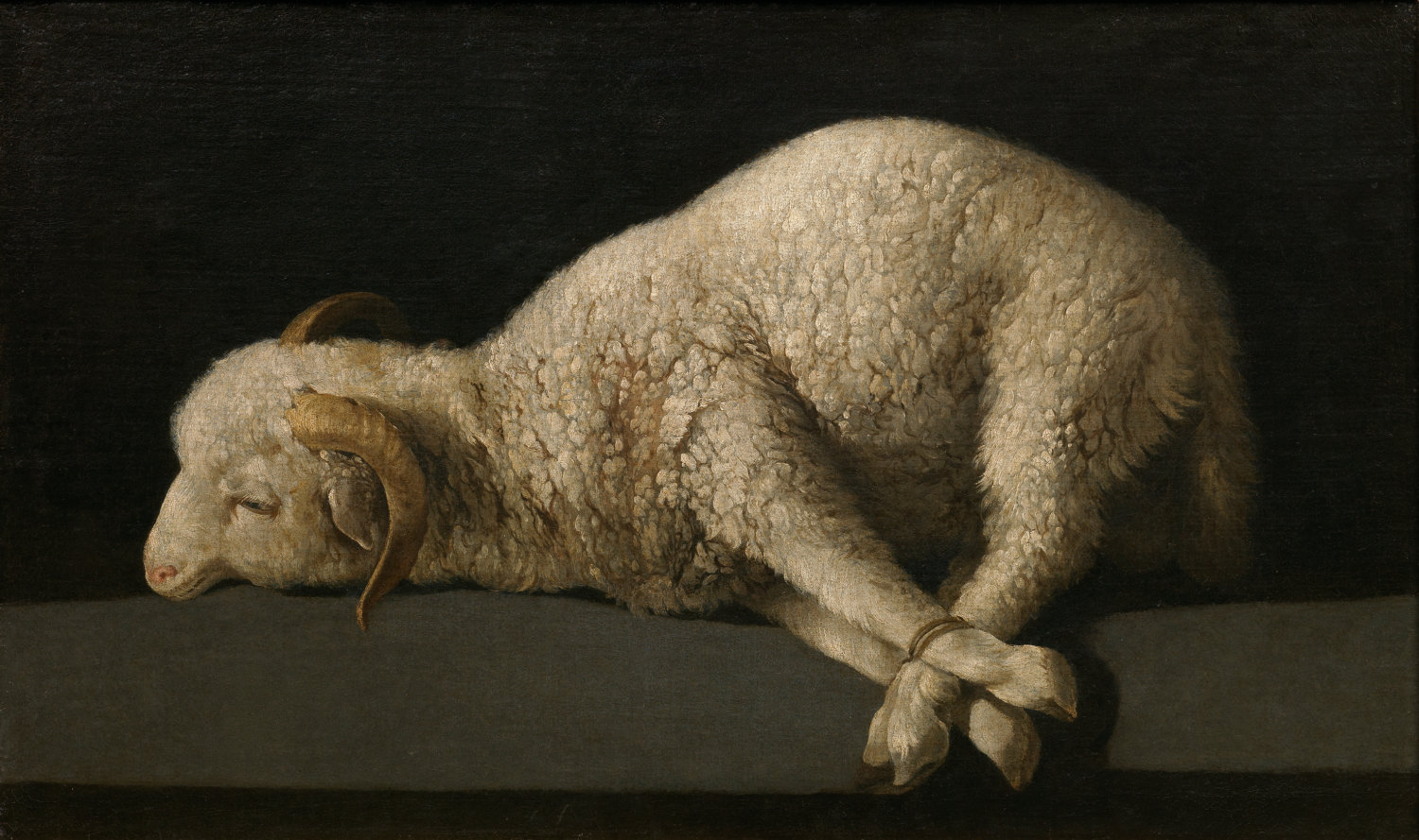 Angus Dei by Francisco de Zurbaran- Famous Art - Handmade Oil Painting on Canvas